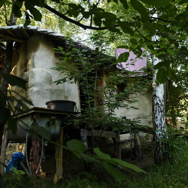 Pokazowe siedlisko, Autor: Katarzyna Makarska