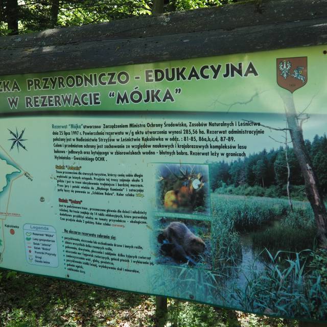W rezerwacie Mójka, Autor: Jerzy Fil
