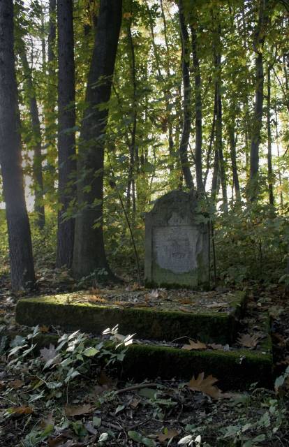 Dwa cmentarze żydowskie w Dynowie - kirkuty przy ul. Piłsudskiego oraz przy ul. Karolówka
